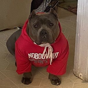 Meet your Posher, Danny